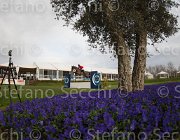 De Simone Teddy TosTour 2013- S4 7304